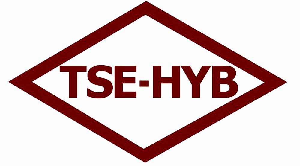Öztürk Oto Toyota Honda Bağımsız Servis TSE Yetki Belgemiz